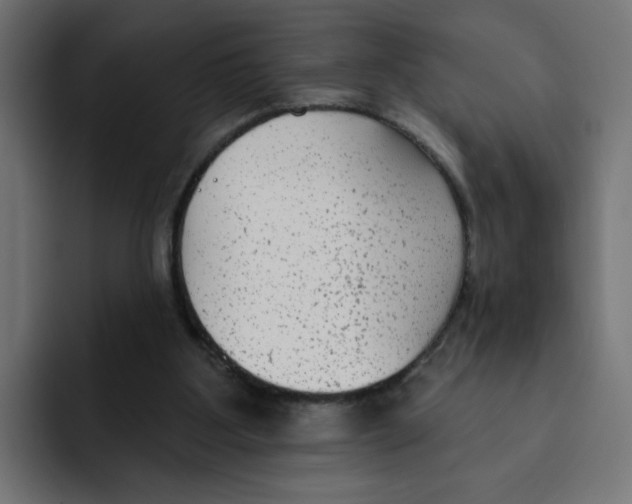 X0000092010107200710041033