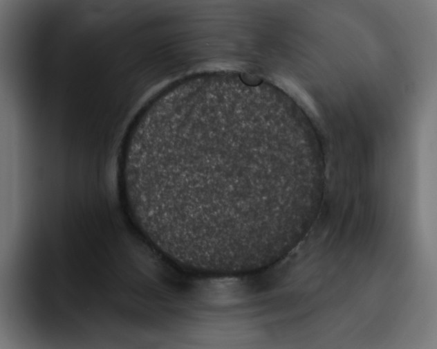 X0000092010108200710041033