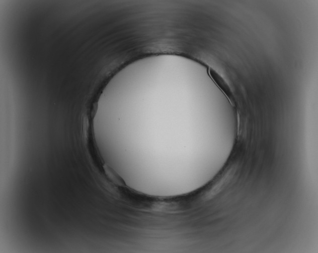 X0000092010109200710041033