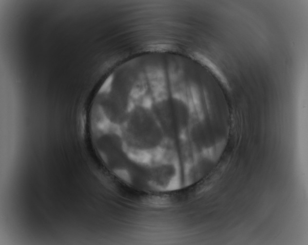X0000092010110200710041033