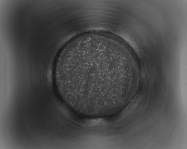 X0000092010112200710041033