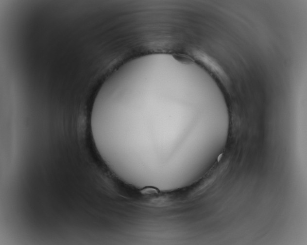 X0000092010113200710041032
