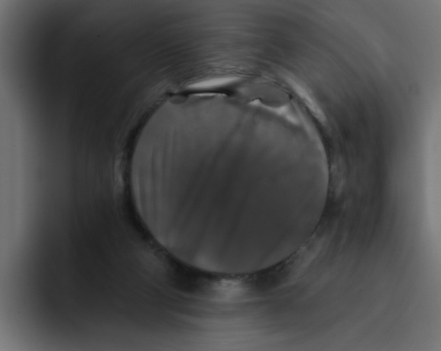 X0000092010114200710041032