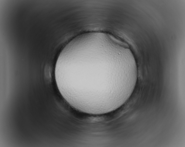 X0000092010115200710041032