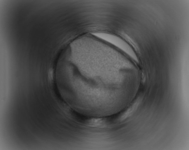 X0000092010117200710041032
