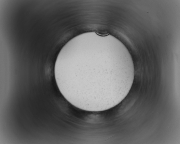 X0000092010119200710041032