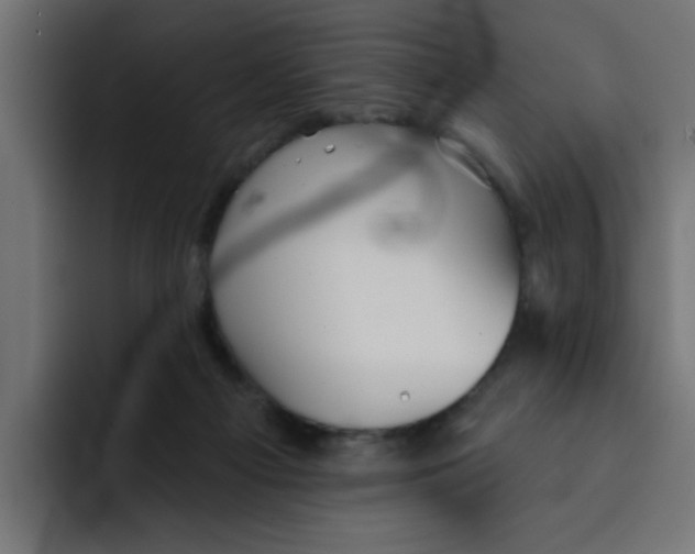 X0000092010121200710041032