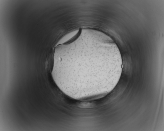 X0000092010123200710041032