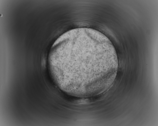 X0000092010124200710041032