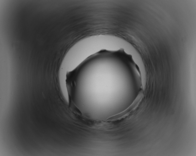X0000092010125200710041032