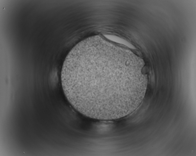 X0000092010128200710041032