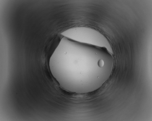 X0000092010129200710041032