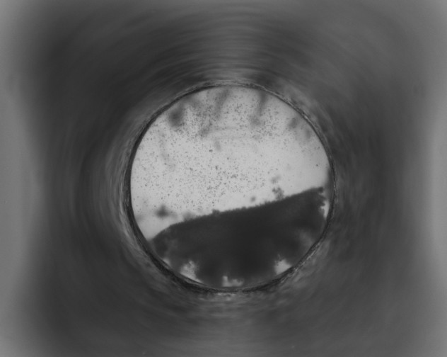 X0000092010145200710041032