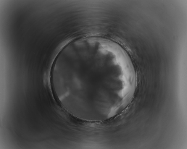 X0000092010147200710041032