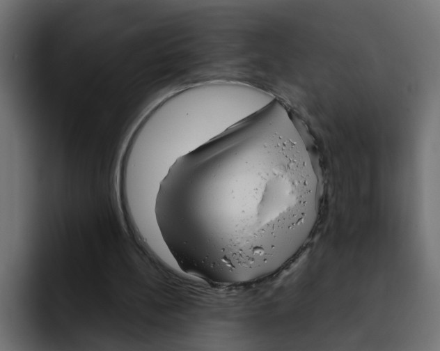 X0000092010148200710041032