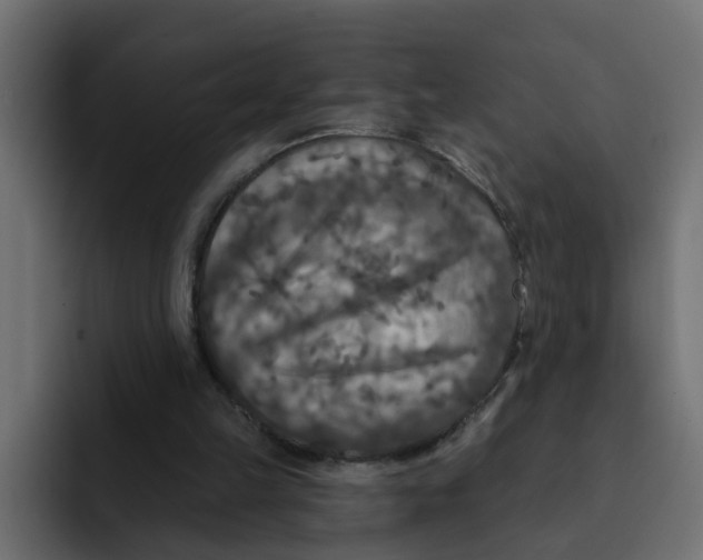 X0000092010149200710041032