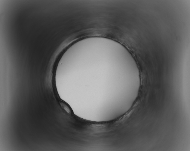 X0000092010150200710041032