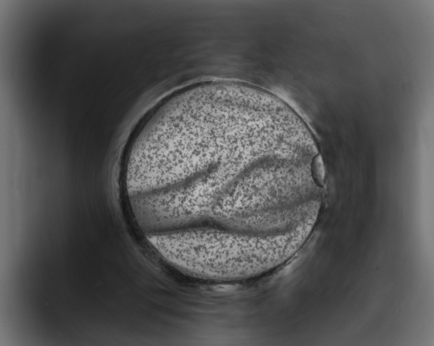 X0000092010151200710041032