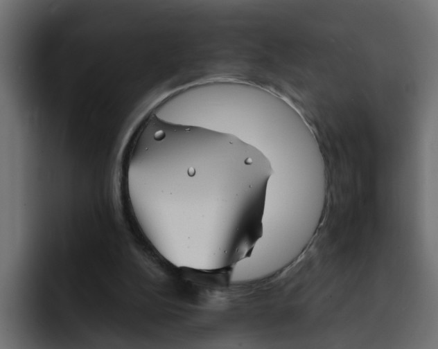 X0000092010152200710041032
