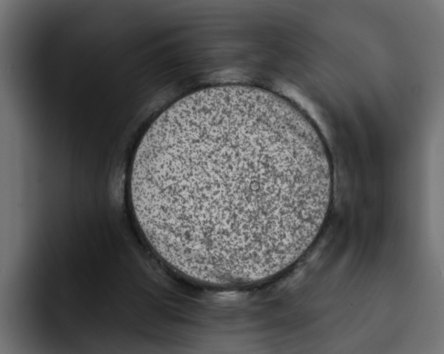 X0000092010153200710041032