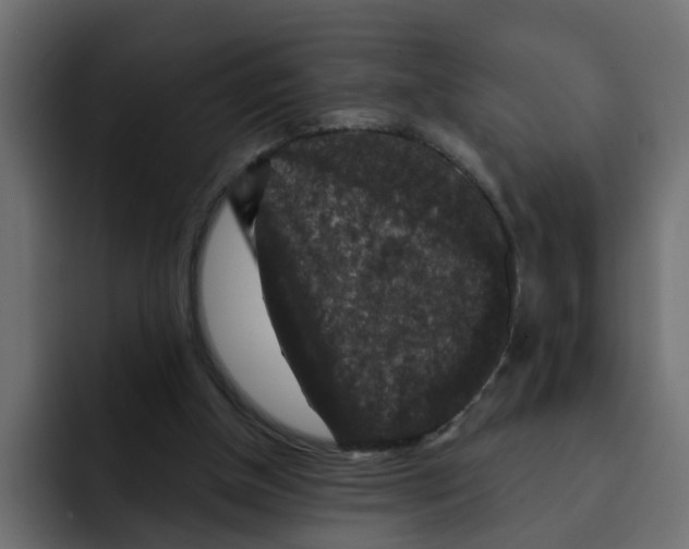 X0000092010154200710041032