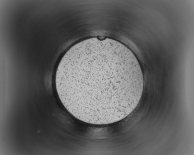 X0000092010155200710041032