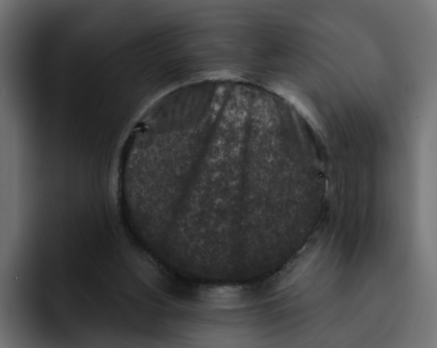 X0000092010156200710041032