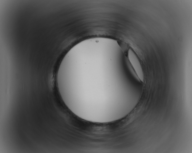 X0000092010160200710041032
