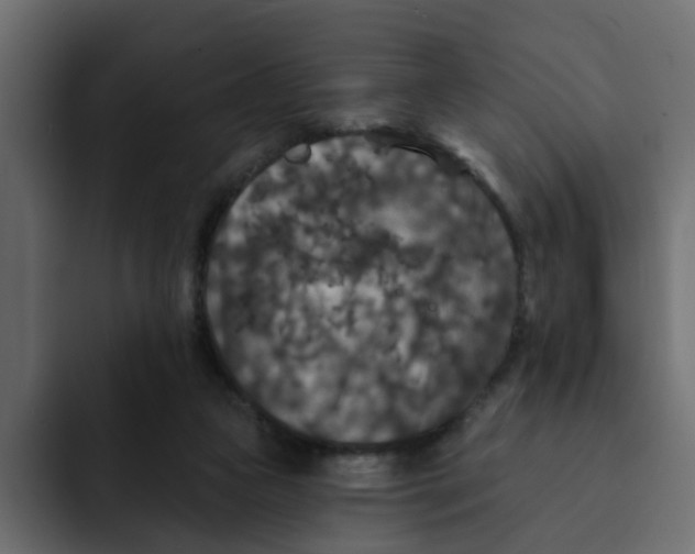 X0000092010161200710041032