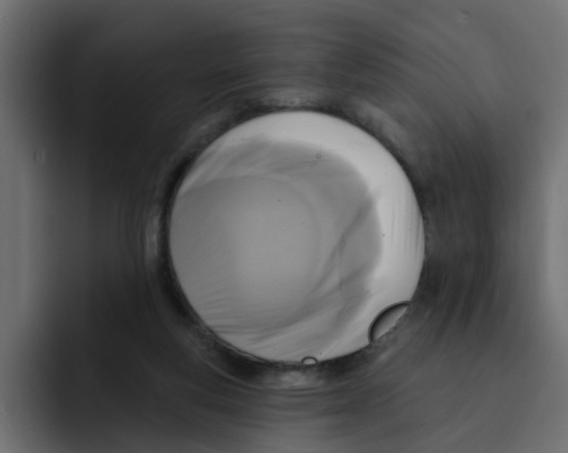 X0000092010163200710041032