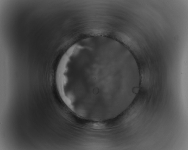 X0000092010165200710041032