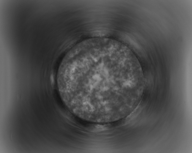 X0000092010166200710041032