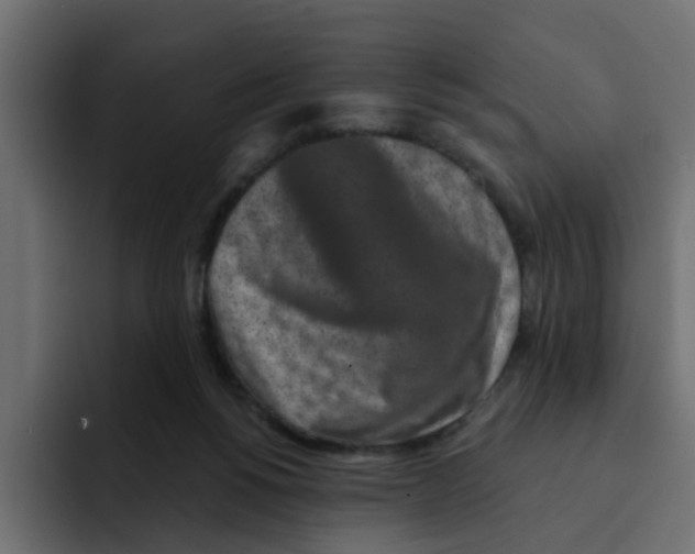 X0000092010168200710041032