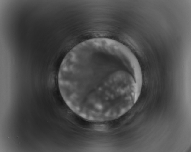 X0000092010169200710041032