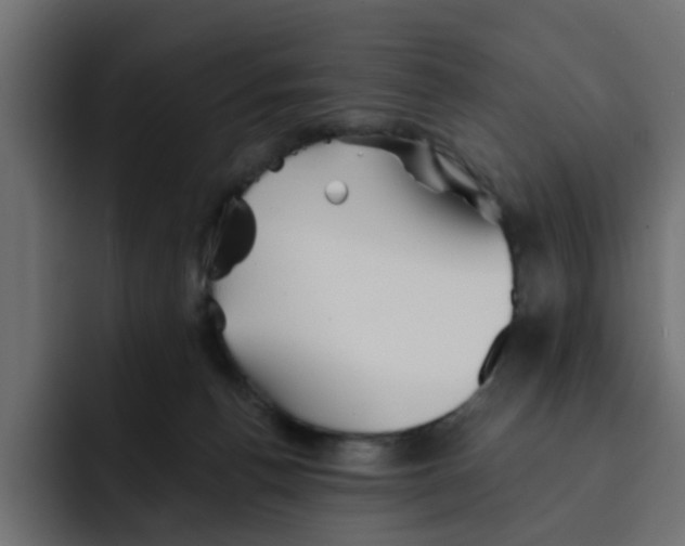 X0000092010176200710041032