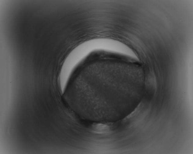X0000092010180200710041032