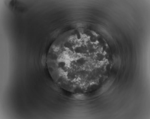 X0000092010189200710041032
