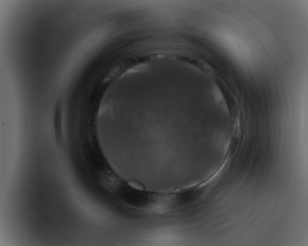 X0000092010191200710041032