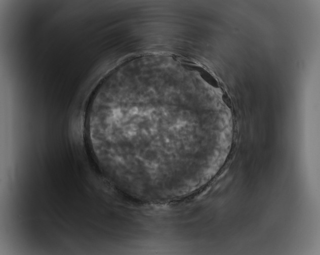 X0000092010194200710041032