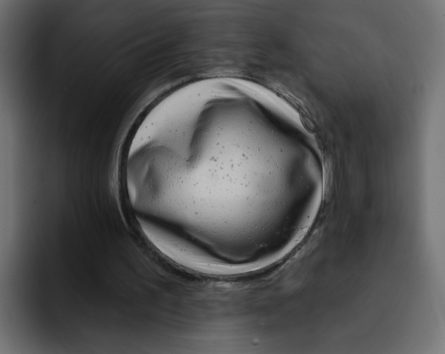 X0000092010195200710041032