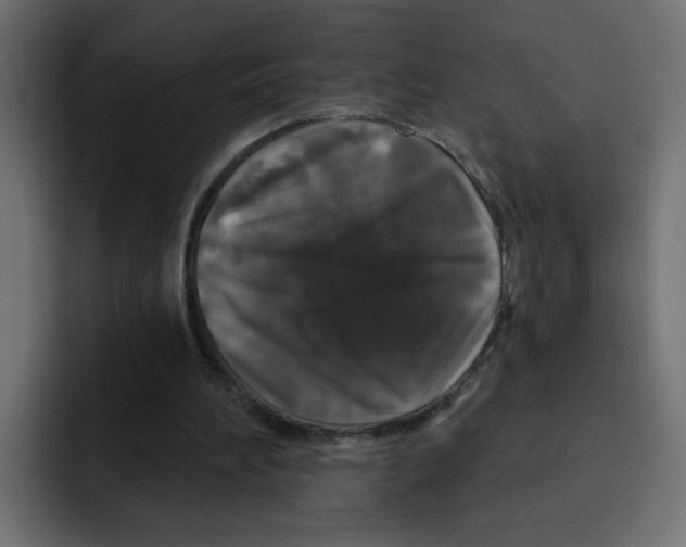 X0000092010196200710041032