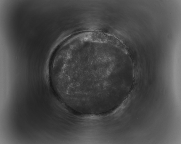 X0000092010198200710041032
