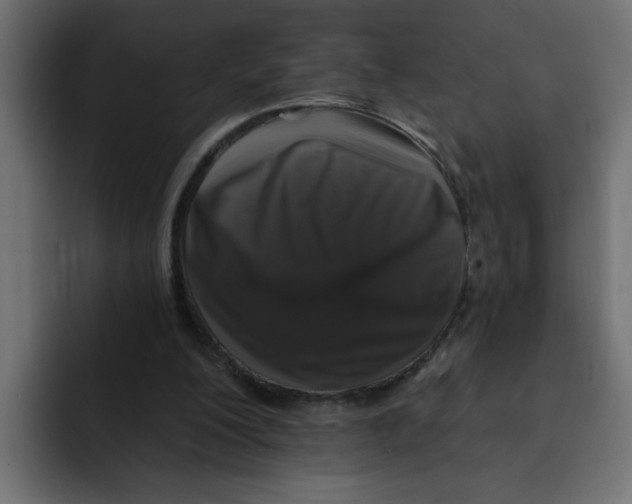X0000092010200200710041031