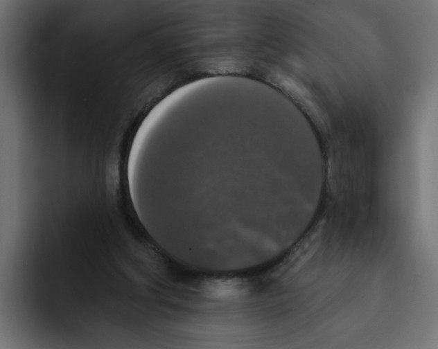 X0000092010202200710041031