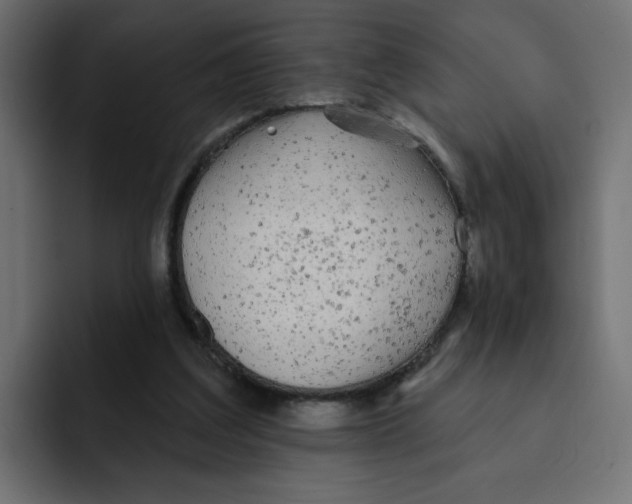 X0000092010203200710041031