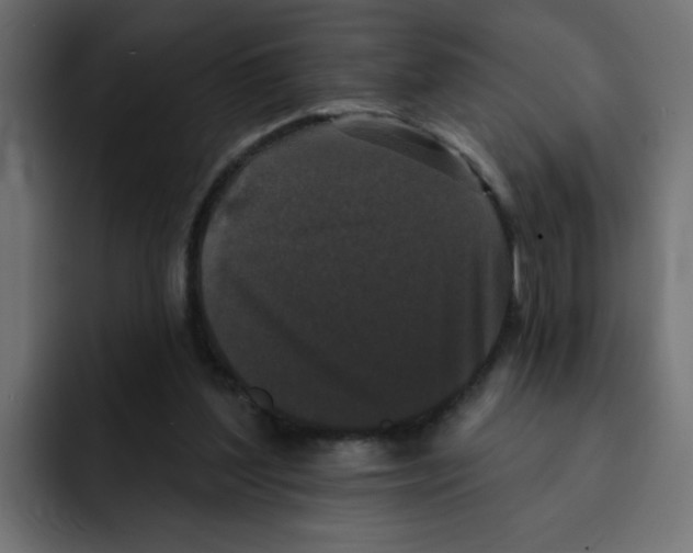 X0000092010204200710041031