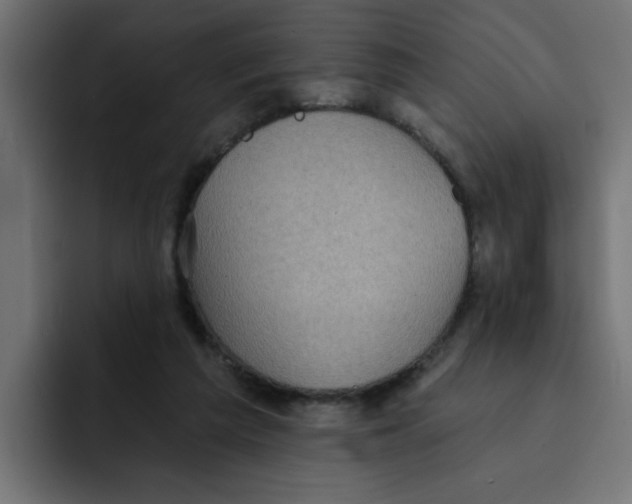 X0000092010209200710041031