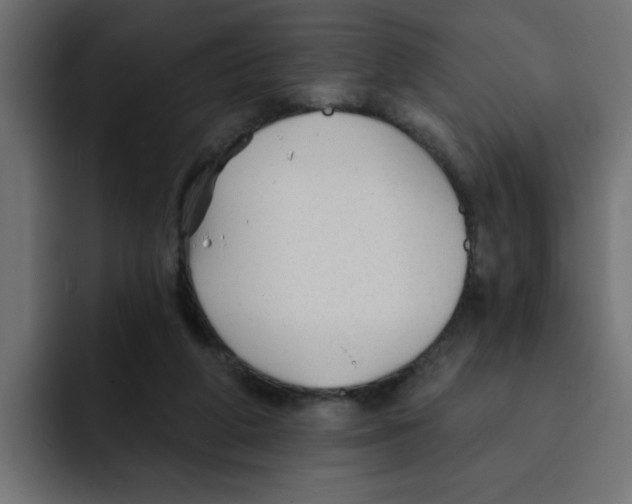 X0000092010210200710041031