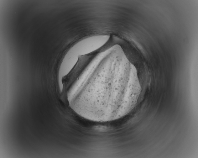 X0000092010211200710041031