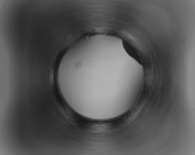 X0000092010213200710041031